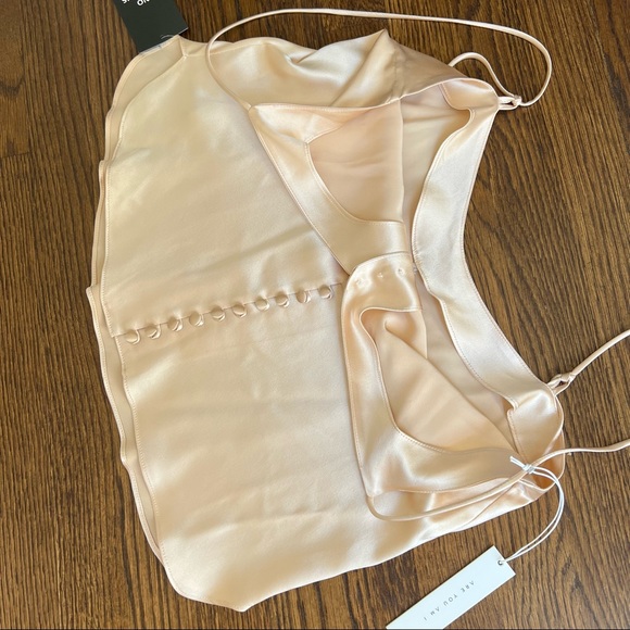 NWT Are You Am I Kaede silk camisole in Blush - Picture 13 of 16